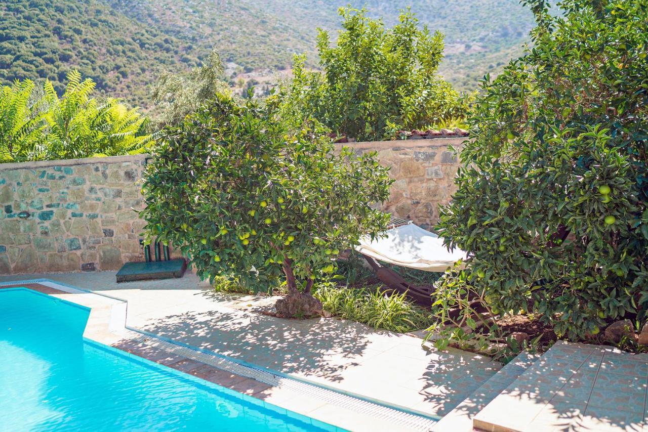 Villa Aleva Bali  Kültér fotó